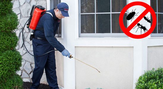 Atakum Bit İlaçlama böcek ilaçlama ve haşere kontrolü — ilaclama-tr.com